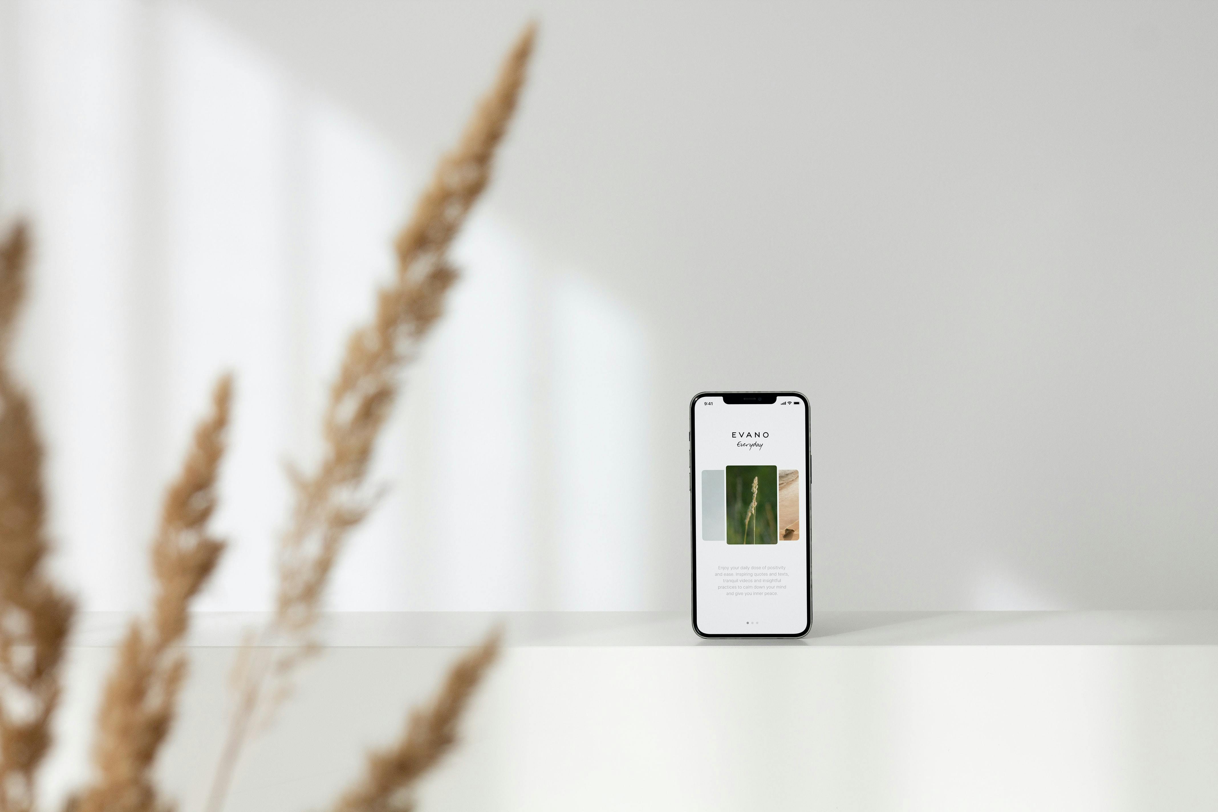 UI/UX DESIGN